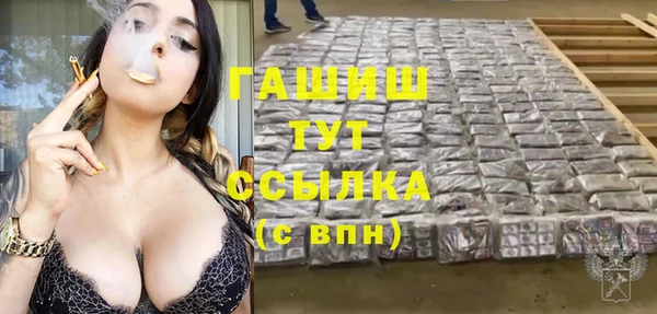 молекула духа Магадан