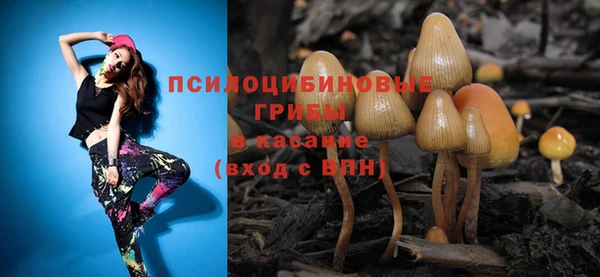 spice Балабаново