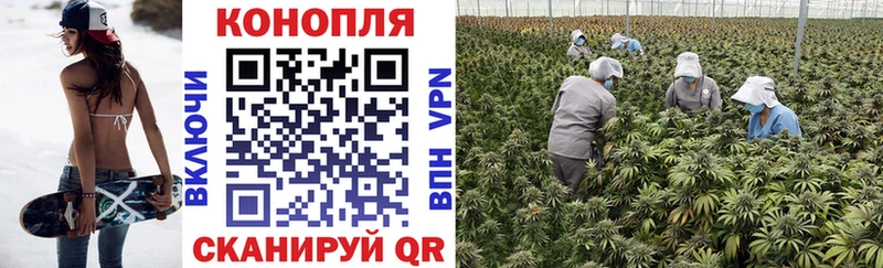 купить  цена  Макаров  Шишки марихуана White Widow 